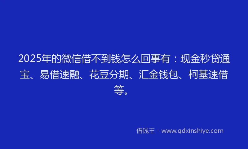 2025年的微信借不到钱怎么回事有：现金秒贷通宝、易借速融、花豆分期、汇金钱包、柯基速借等。