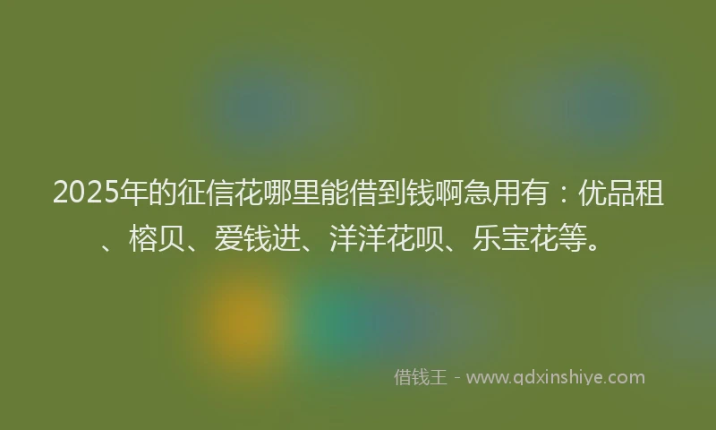 2025年的征信花哪里能借到钱啊急用有：优品租、榕贝、爱钱进、洋洋花呗、乐宝花等。