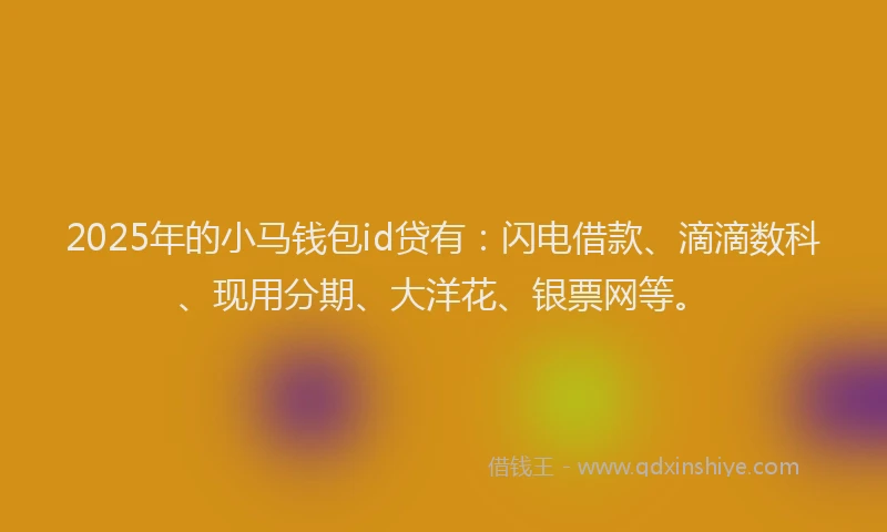 2025年的小马钱包id贷有：闪电借款、滴滴数科、现用分期、大洋花、银票网等。