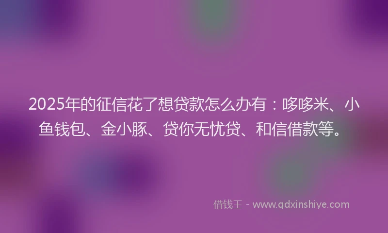 2025年的征信花了想贷款怎么办有：哆哆米、小鱼钱包、金小豚、贷你无忧贷、和信借款等。