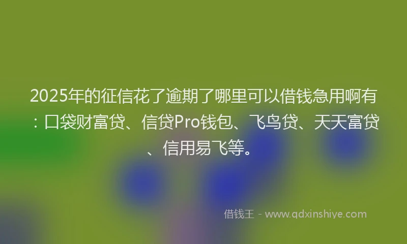 2025年的征信花了逾期了哪里可以借钱急用啊有：口袋财富贷、信贷Pro钱包、飞鸟贷、天天富贷、信用易飞等。