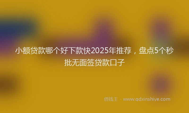小额贷款哪个好下款快2025年推荐，盘点5个秒批无面签贷款口子