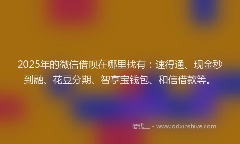 2025年的微信借呗在哪里找有：速得通、现金秒到融、花豆分期、智享宝钱包、和信借款等。