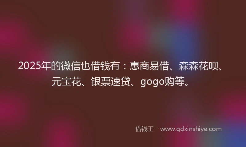 2025年的微信也借钱有：惠商易借、森森花呗、元宝花、银票速贷、gogo购等。