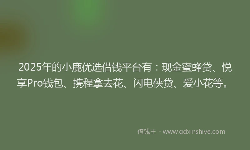 2025年的小鹿优选借钱平台有：现金蜜蜂贷、悦享Pro钱包、携程拿去花、闪电侠贷、爱小花等。