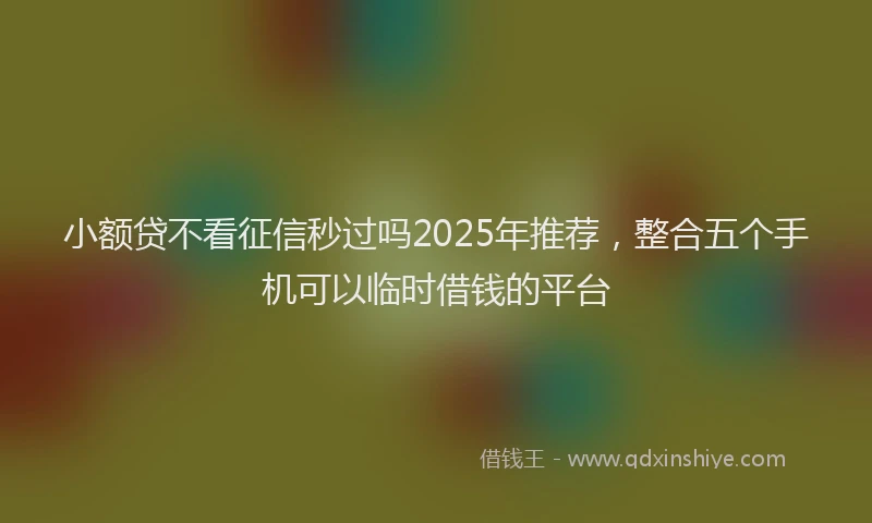 小额贷不看征信秒过吗2025年推荐，整合五个手机可以临时借钱的平台