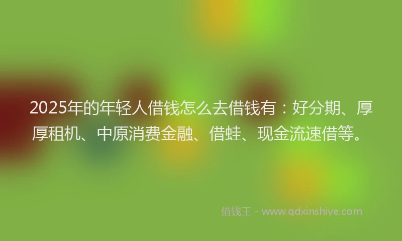 2025年的年轻人借钱怎么去借钱有：好分期、厚厚租机、中原消费金融、借蛙、现金流速借等。
