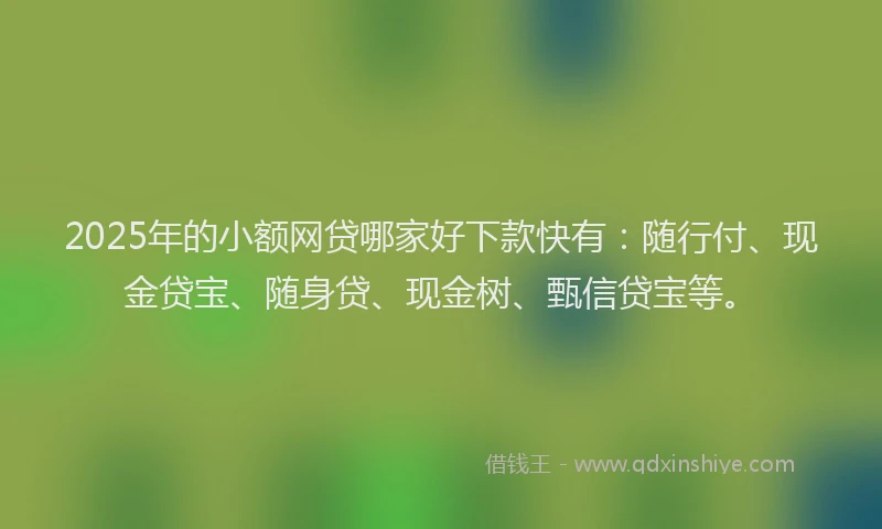 2025年的小额网贷哪家好下款快有：随行付、现金贷宝、随身贷、现金树、甄信贷宝等。