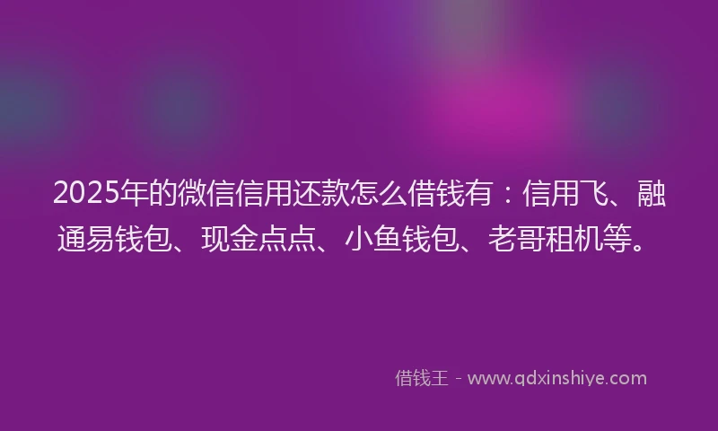 2025年的微信信用还款怎么借钱有：信用飞、融通易钱包、现金点点、小鱼钱包、老哥租机等。