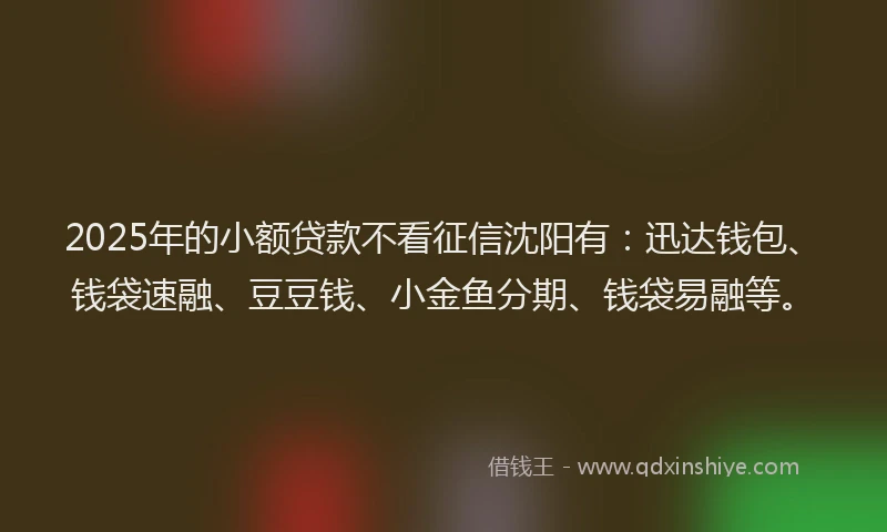 2025年的小额贷款不看征信沈阳有：迅达钱包、钱袋速融、豆豆钱、小金鱼分期、钱袋易融等。