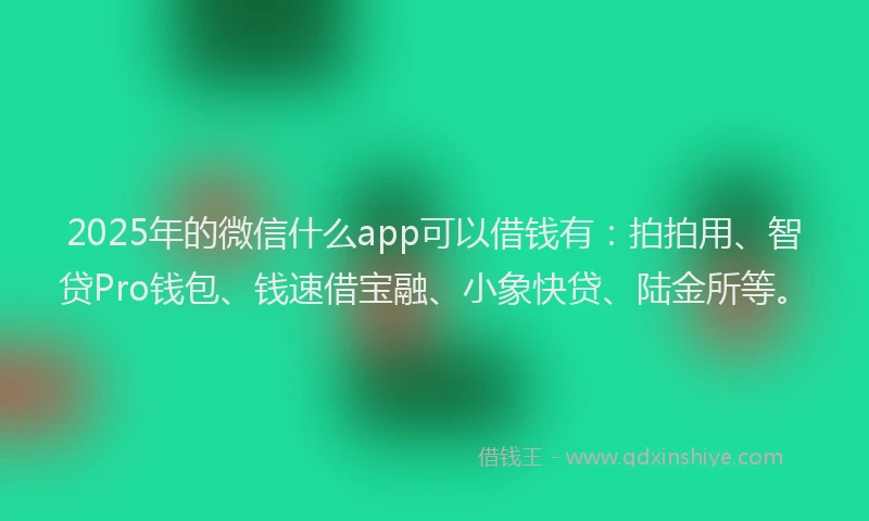 2025年的微信什么app可以借钱有：拍拍用、智贷Pro钱包、钱速借宝融、小象快贷、陆金所等。