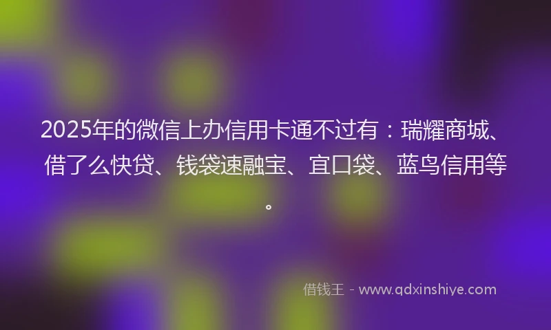 2025年的微信上办信用卡通不过有：瑞耀商城、借了么快贷、钱袋速融宝、宜口袋、蓝鸟信用等。