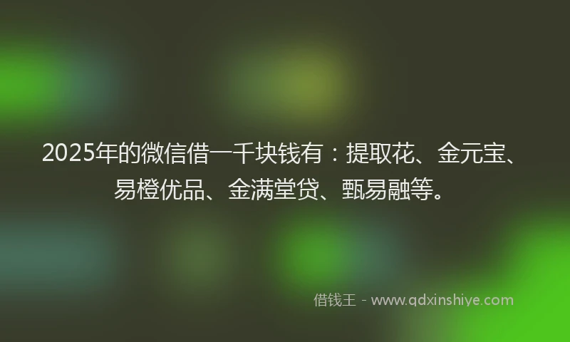 2025年的微信借一千块钱有：提取花、金元宝、易橙优品、金满堂贷、甄易融等。
