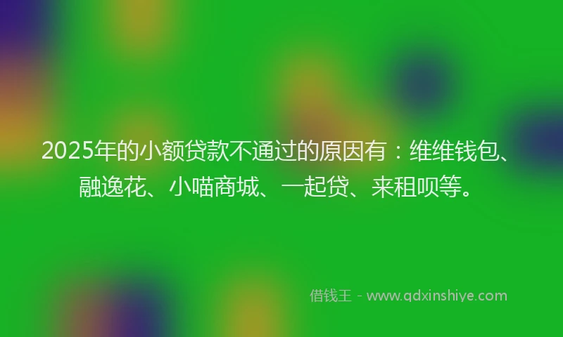 2025年的小额贷款不通过的原因有：维维钱包、融逸花、小喵商城、一起贷、来租呗等。