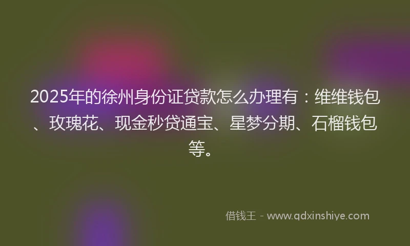 2025年的徐州身份证贷款怎么办理有：维维钱包、玫瑰花、现金秒贷通宝、星梦分期、石榴钱包等。