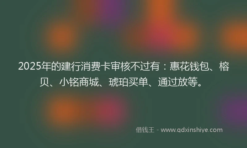 2025年的建行消费卡审核不过有：惠花钱包、榕贝、小铭商城、琥珀买单、通过放等。