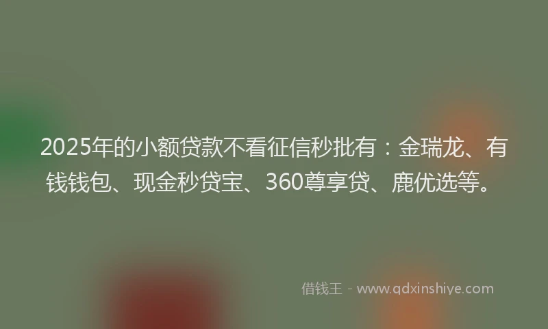2025年的小额贷款不看征信秒批有：金瑞龙、有钱钱包、现金秒贷宝、360尊享贷、鹿优选等。