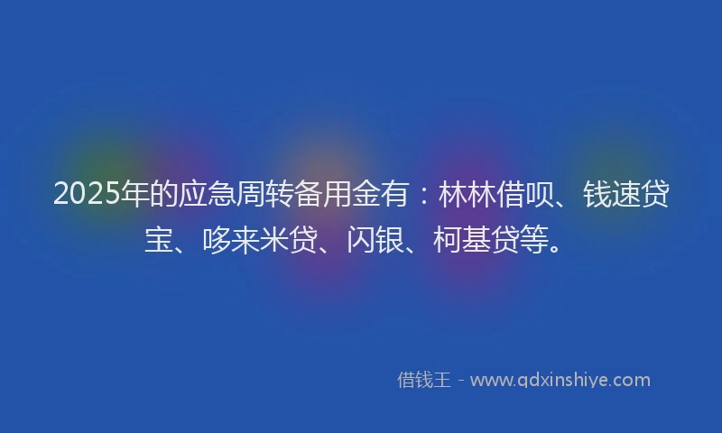 2025年的应急周转备用金有：林林借呗、钱速贷宝、哆来米贷、闪银、柯基贷等。