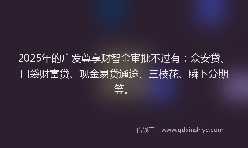2025年的广发尊享财智金审批不过有：众安贷、口袋财富贷、现金易贷通途、三枝花、瞬下分期等。