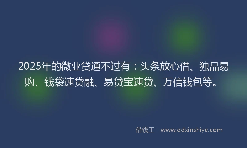 2025年的微业贷通不过有：头条放心借、独品易购、钱袋速贷融、易贷宝速贷、万信钱包等。