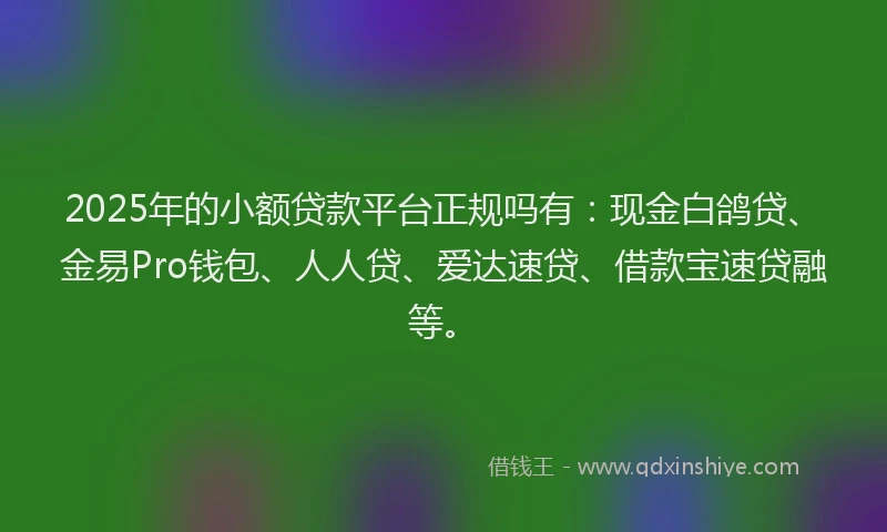 2025年的小额贷款平台正规吗有：现金白鸽贷、金易Pro钱包、人人贷、爱达速贷、借款宝速贷融等。