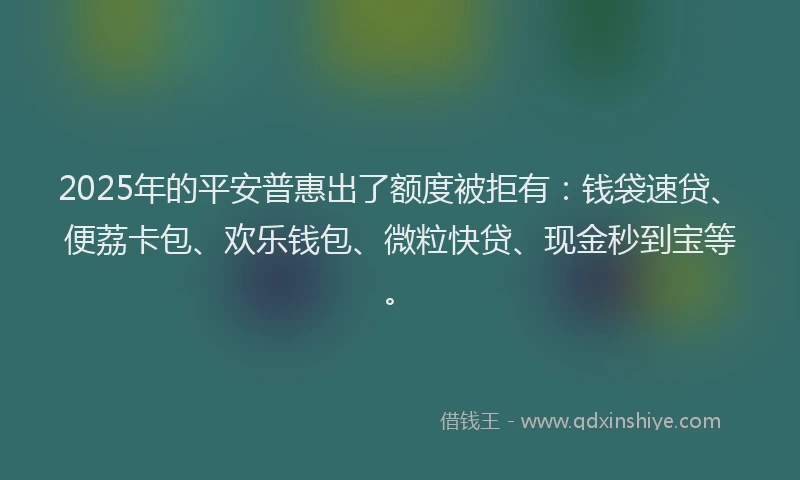 2025年的平安普惠出了额度被拒有：钱袋速贷、便荔卡包、欢乐钱包、微粒快贷、现金秒到宝等。