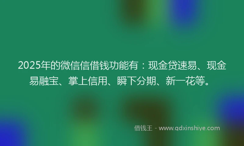 2025年的微信信借钱功能有：现金贷速易、现金易融宝、掌上信用、瞬下分期、新一花等。