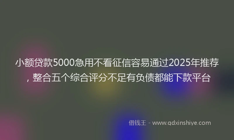 小额贷款5000急用不看征信容易通过2025年推荐，整合五个综合评分不足有负债都能下款平台