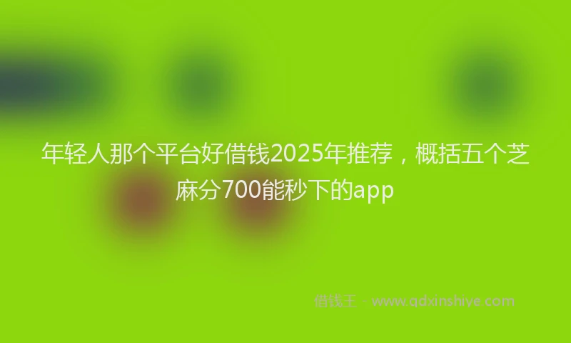 年轻人那个平台好借钱2025年推荐，概括五个芝麻分700能秒下的app