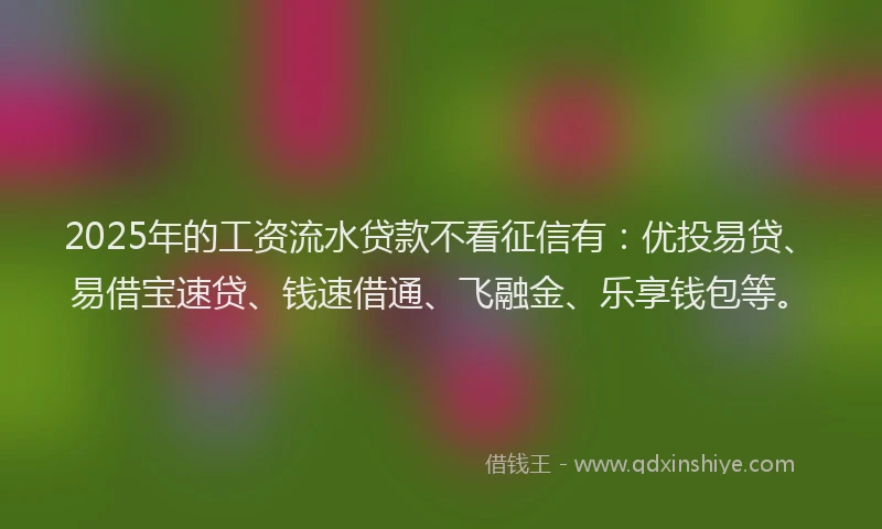 2025年的工资流水贷款不看征信有：优投易贷、易借宝速贷、钱速借通、飞融金、乐享钱包等。
