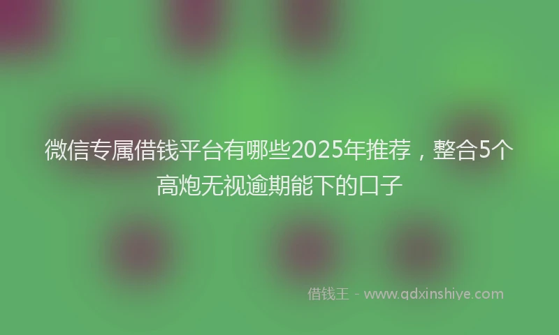 微信专属借钱平台有哪些2025年推荐，整合5个高炮无视逾期能下的口子