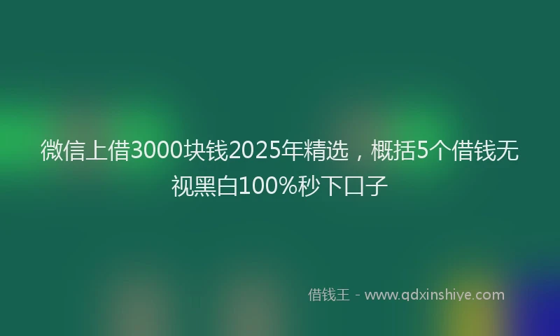 微信上借3000块钱2025年精选，概括5个借钱无视黑白100%秒下口子