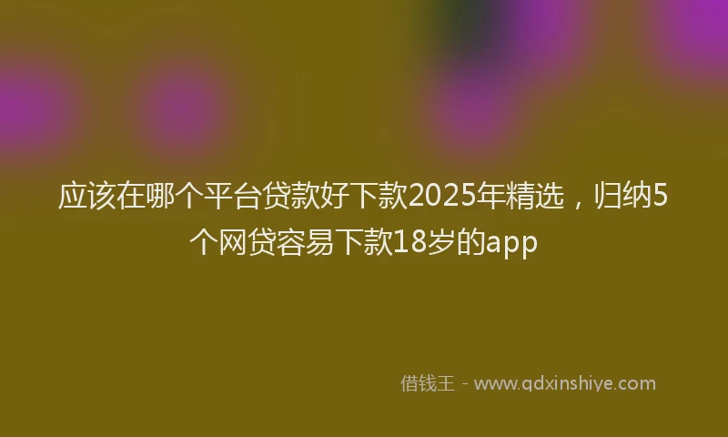 应该在哪个平台贷款好下款2025年精选，归纳5个网贷容易下款18岁的app