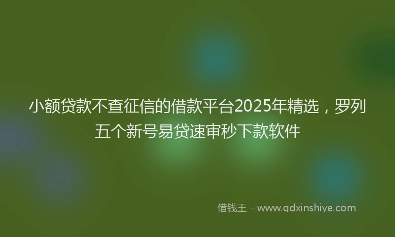 小额贷款不查征信的借款平台2025年精选，罗列五个新号易贷速审秒下款软件