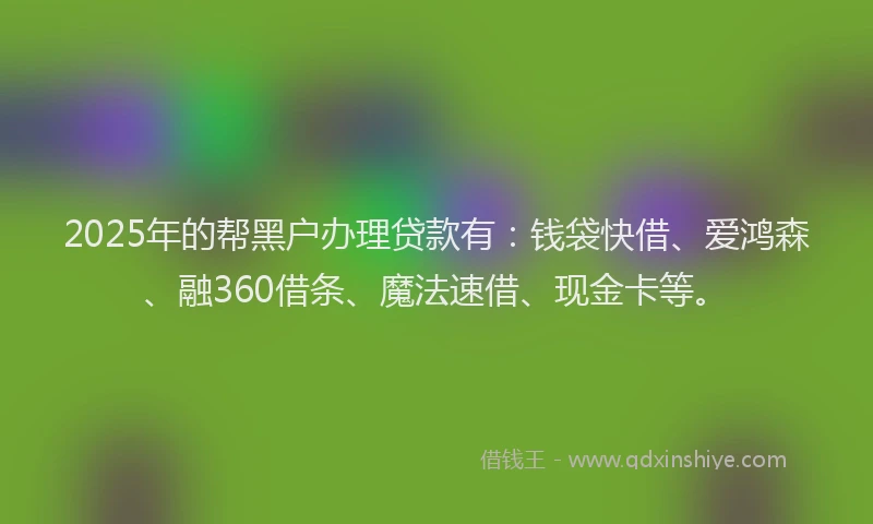 2025年的帮黑户办理贷款有：钱袋快借、爱鸿森、融360借条、魔法速借、现金卡等。