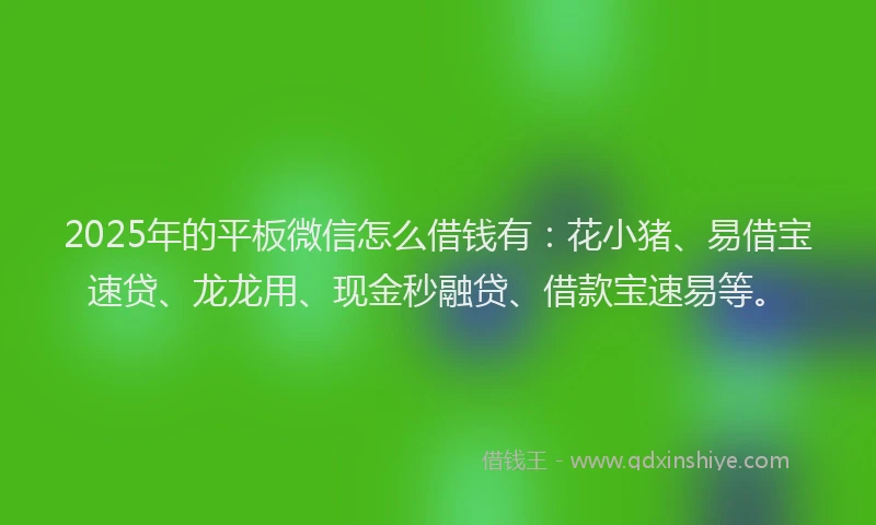 2025年的平板微信怎么借钱有：花小猪、易借宝速贷、龙龙用、现金秒融贷、借款宝速易等。