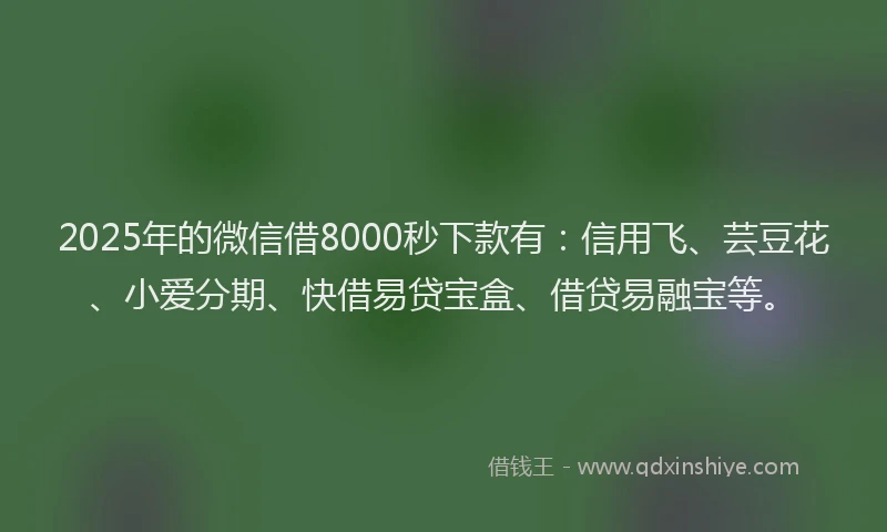 2025年的微信借8000秒下款有：信用飞、芸豆花、小爱分期、快借易贷宝盒、借贷易融宝等。