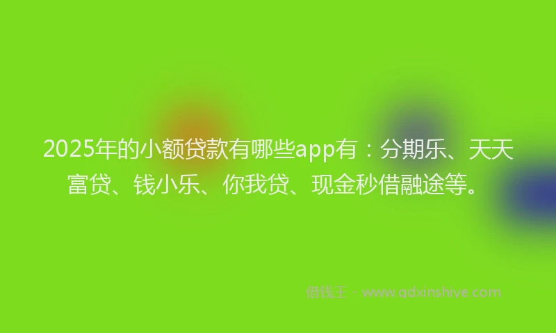 2025年的小额贷款有哪些app有：分期乐、天天富贷、钱小乐、你我贷、现金秒借融途等。