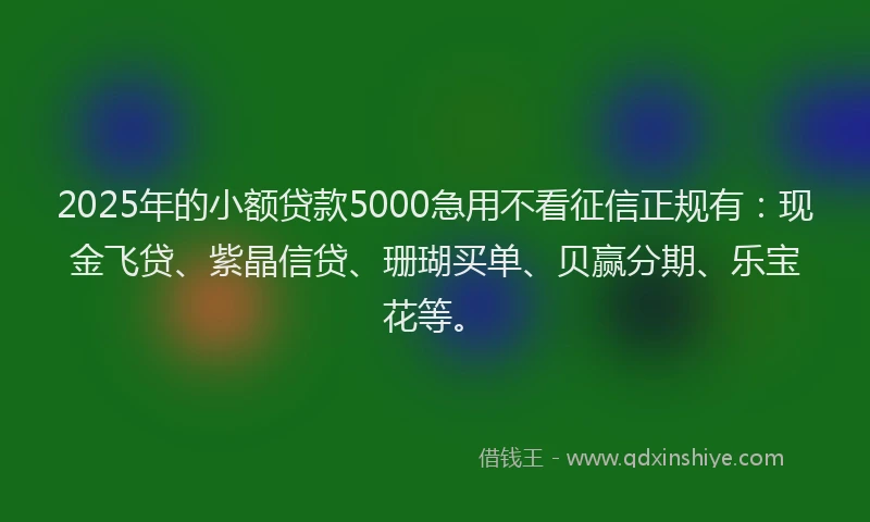 2025年的小额贷款5000急用不看征信正规有：现金飞贷、紫晶信贷、珊瑚买单、贝赢分期、乐宝花等。