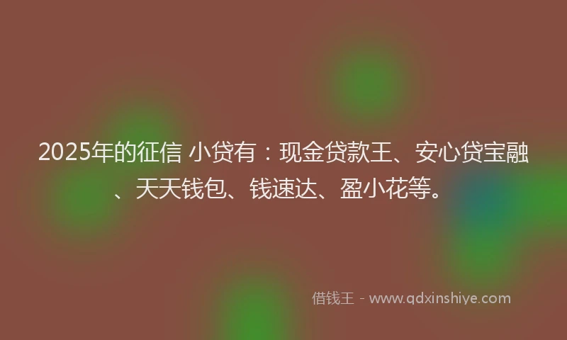2025年的征信 小贷有：现金贷款王、安心贷宝融、天天钱包、钱速达、盈小花等。