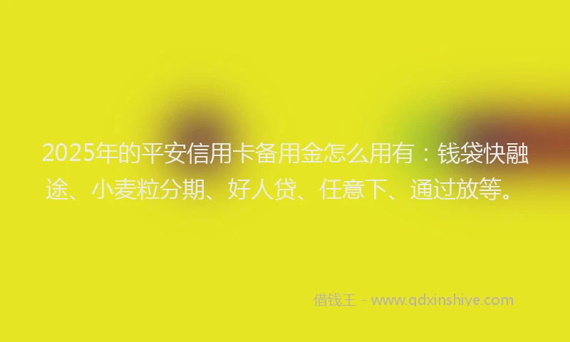 2025年的平安信用卡备用金怎么用有：钱袋快融途、小麦粒分期、好人贷、任意下、通过放等。