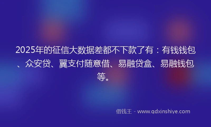 2025年的征信大数据差都不下款了有：有钱钱包、众安贷、翼支付随意借、易融贷盒、易融钱包等。