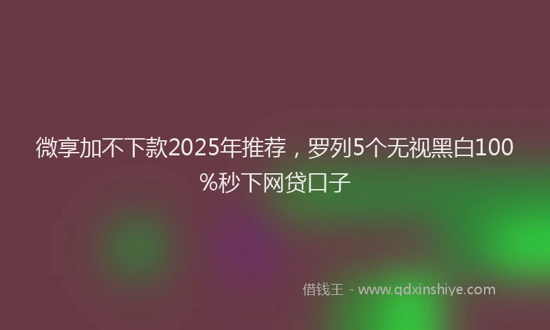 微享加不下款2025年推荐，罗列5个无视黑白100%秒下网贷口子