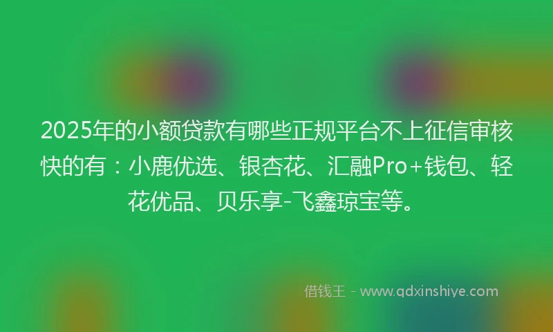 2025年的小额贷款有哪些正规平台不上征信审核快的有：小鹿优选、银杏花、汇融Pro+钱包、轻花优品、贝乐享-飞鑫琼宝等。
