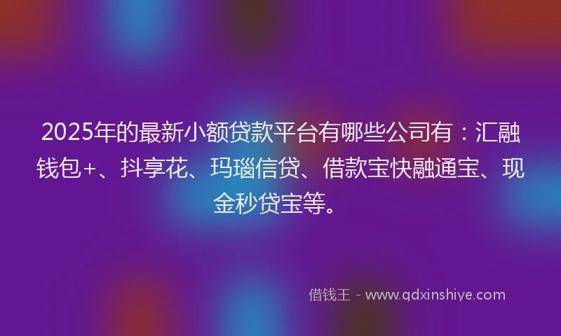 2025年的最新小额贷款平台有哪些公司有：汇融钱包+、抖享花、玛瑙信贷、借款宝快融通宝、现金秒贷宝等。