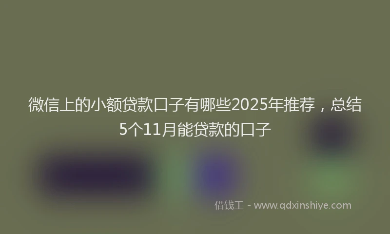 微信上的小额贷款口子有哪些2025年推荐，总结5个11月能贷款的口子