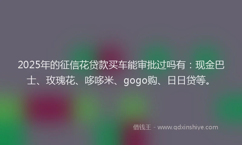2025年的征信花贷款买车能审批过吗有：现金巴士、玫瑰花、哆哆米、gogo购、日日贷等。