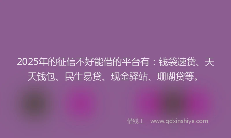 2025年的征信不好能借的平台有：钱袋速贷、天天钱包、民生易贷、现金驿站、珊瑚贷等。