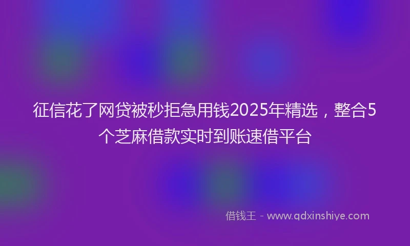 征信花了网贷被秒拒急用钱2025年精选，整合5个芝麻借款实时到账速借平台