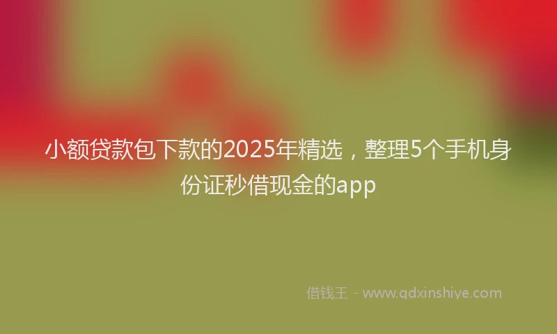 小额贷款包下款的2025年精选，整理5个手机身份证秒借现金的app